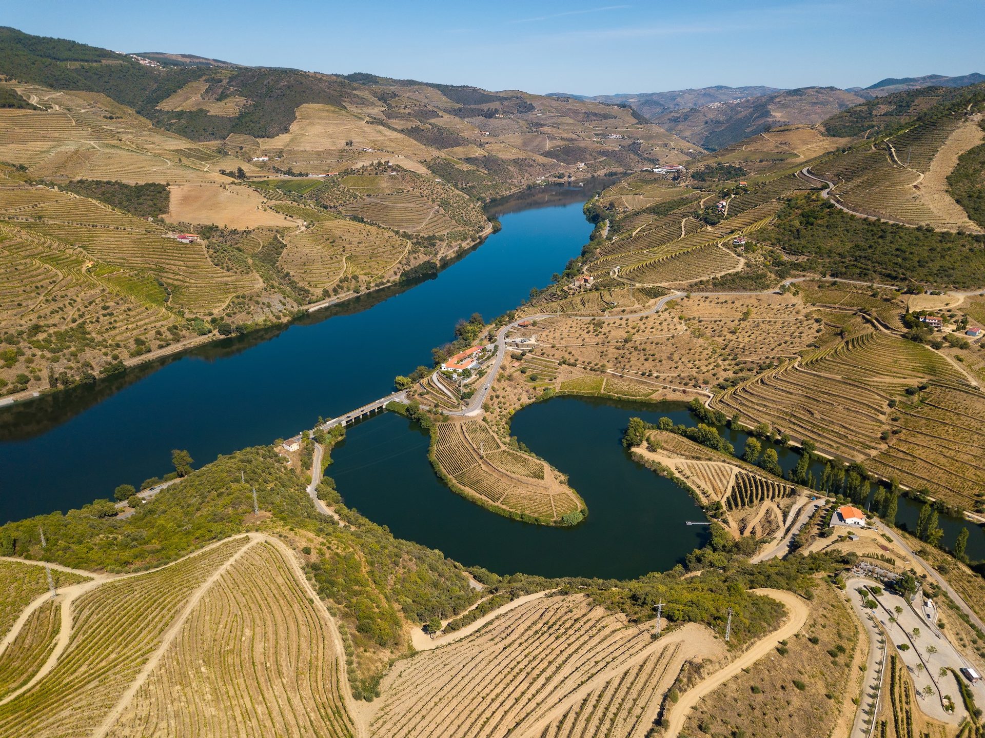 The Douro River winding through terraced vineyards